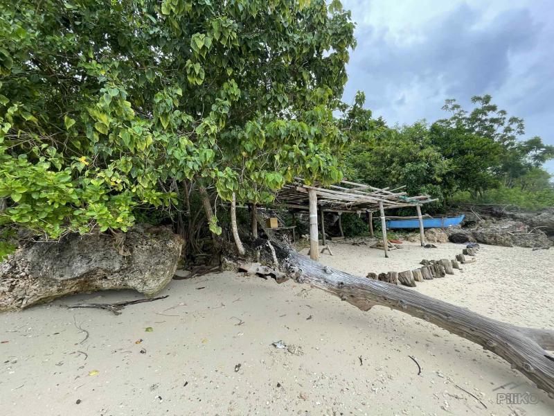 Commercial Lot for sale in Enrique Villanueva - image 12