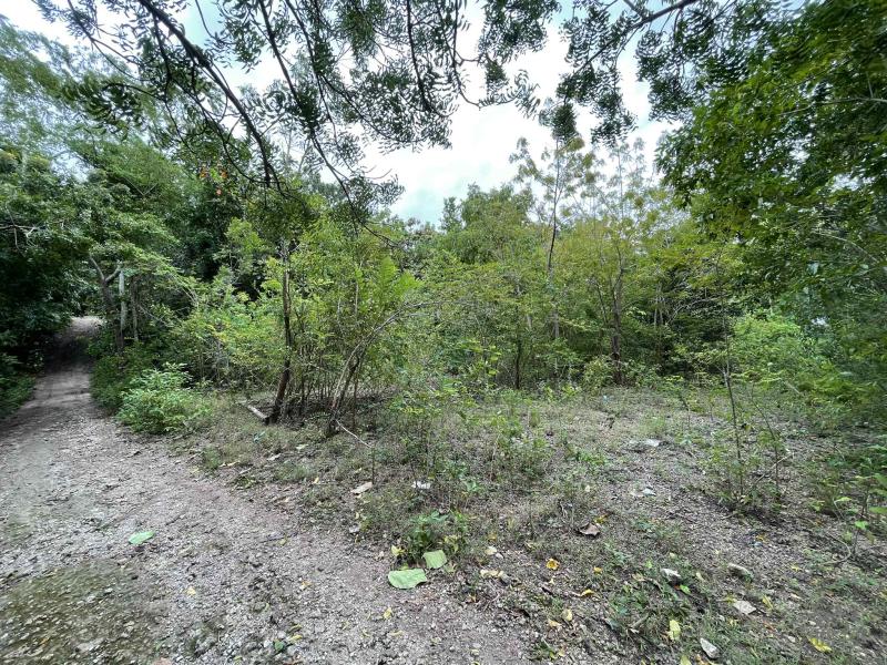 Commercial Lot for sale in Enrique Villanueva - image 13