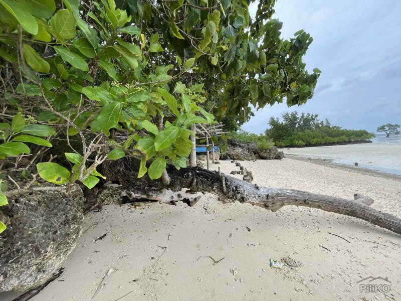 Commercial Lot for sale in Enrique Villanueva - image 14