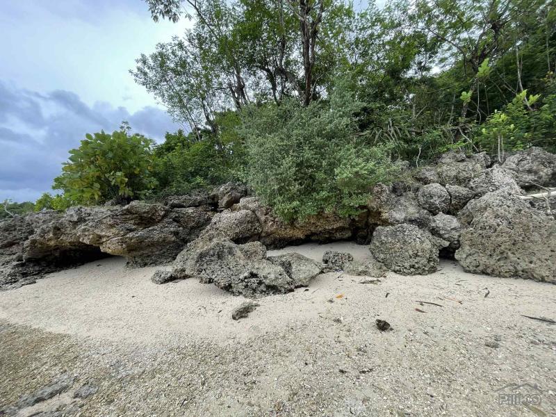 Commercial Lot for sale in Enrique Villanueva - image 2