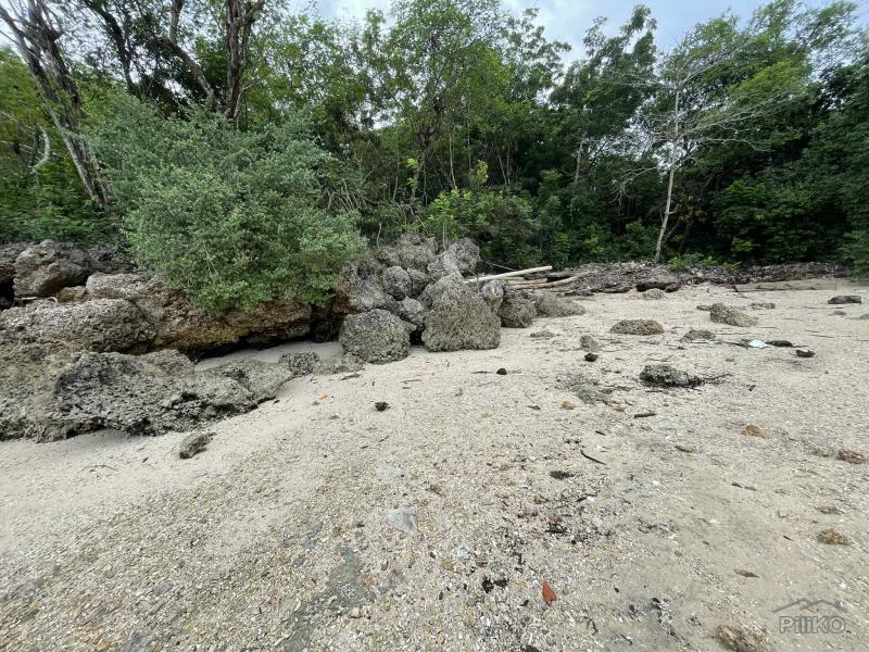 Commercial Lot for sale in Enrique Villanueva - image 6