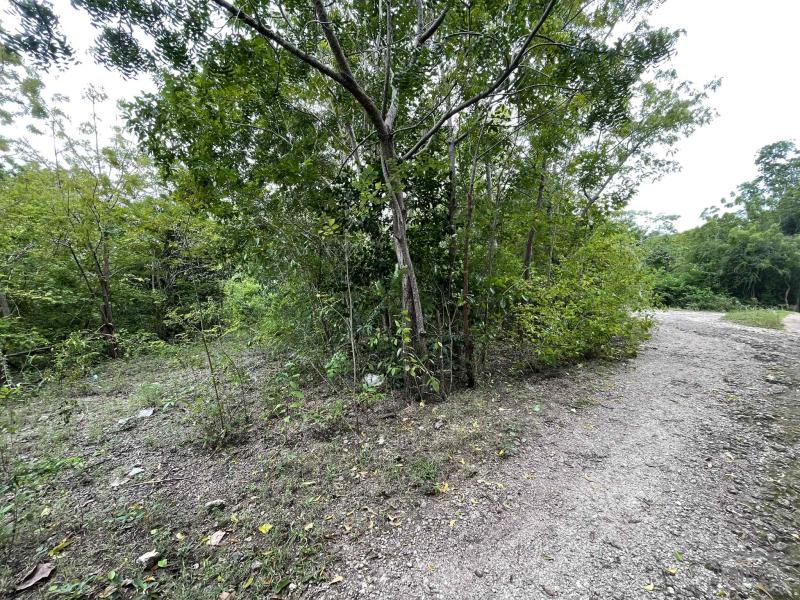 Commercial Lot for sale in Enrique Villanueva - image 7