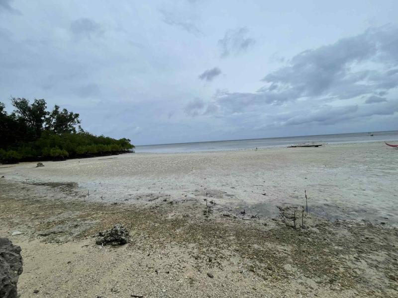 Commercial Lot for sale in Enrique Villanueva - image 9