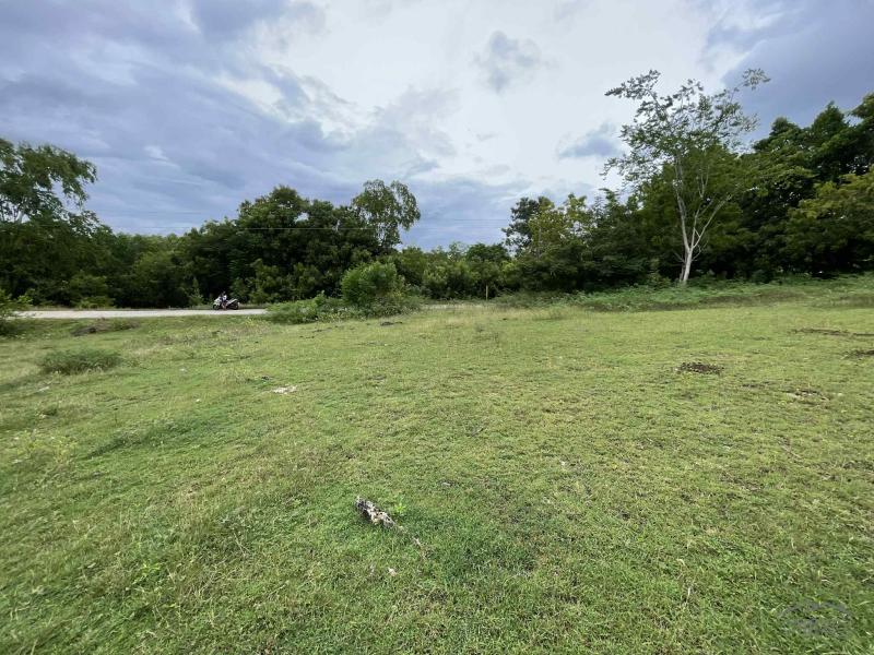 Commercial Lot for sale in Enrique Villanueva - image 11
