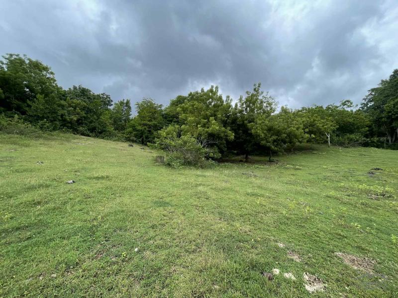 Commercial Lot for sale in Enrique Villanueva - image 3