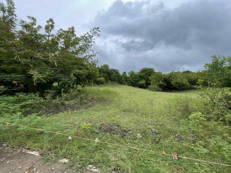 Commercial Lot for sale in Enrique Villanueva - image 5