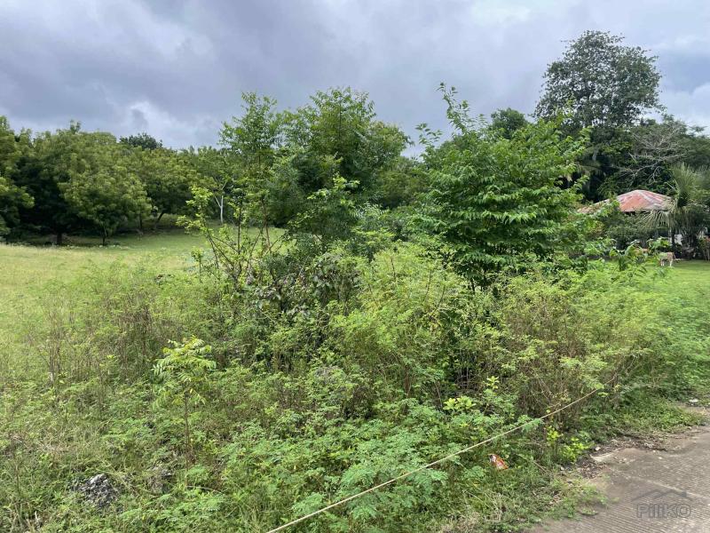 Commercial Lot for sale in Enrique Villanueva - image 9