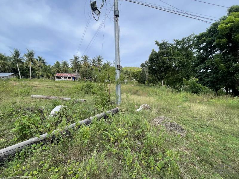 Residential Lot for sale in San Juan - image 2