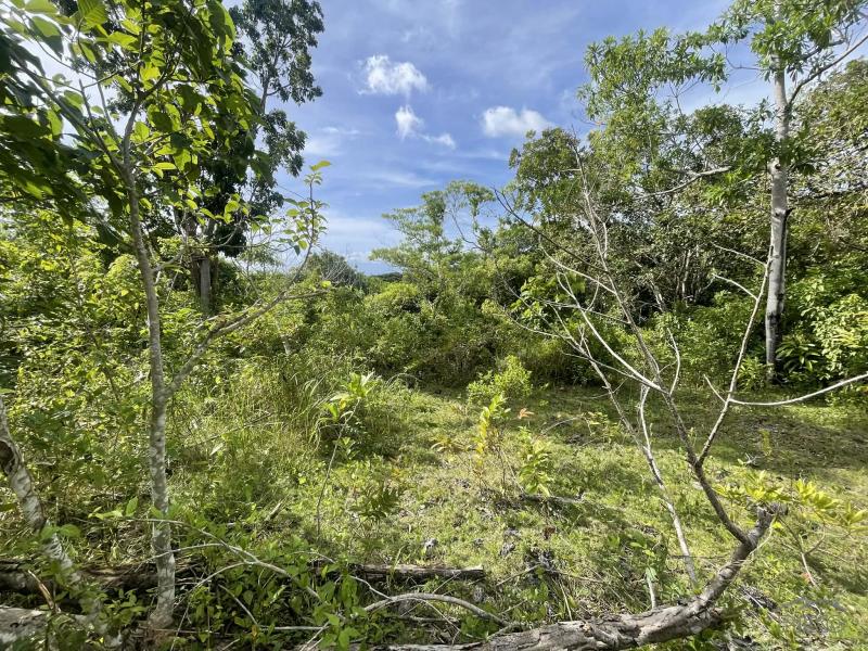 Residential Lot for sale in San Juan - image 2