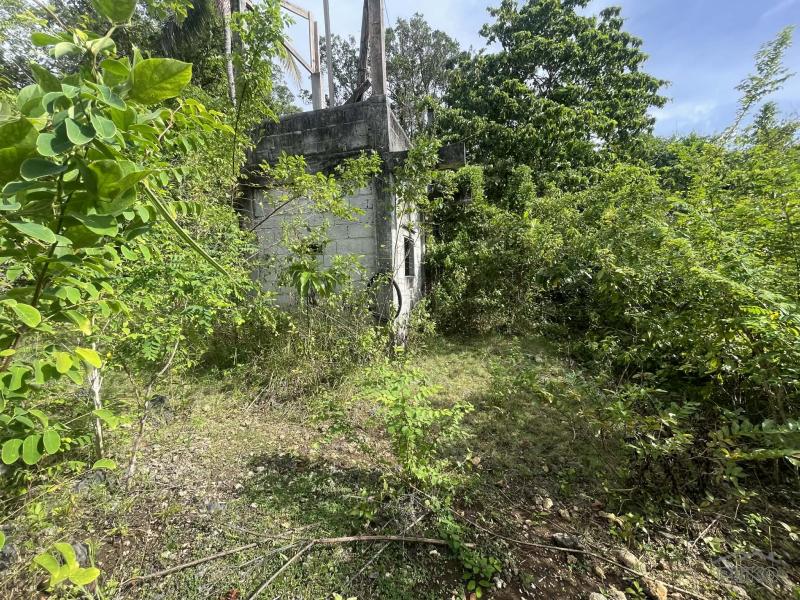 Residential Lot for sale in San Juan - image 5