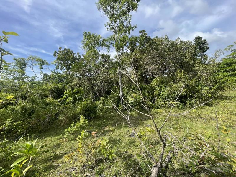 Residential Lot for sale in San Juan - image 7