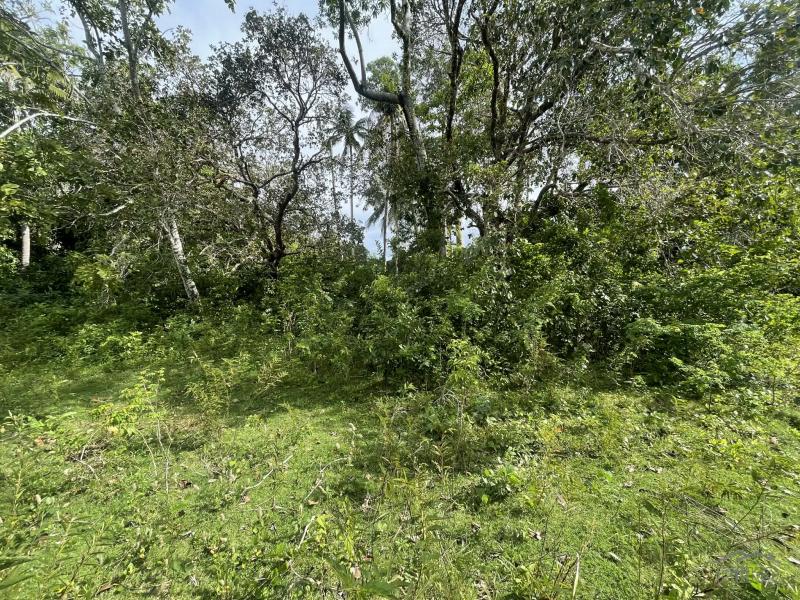 Residential Lot for sale in San Juan - image 8