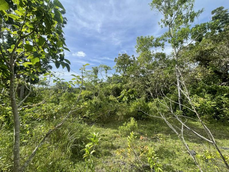 Residential Lot for sale in San Juan - image 9