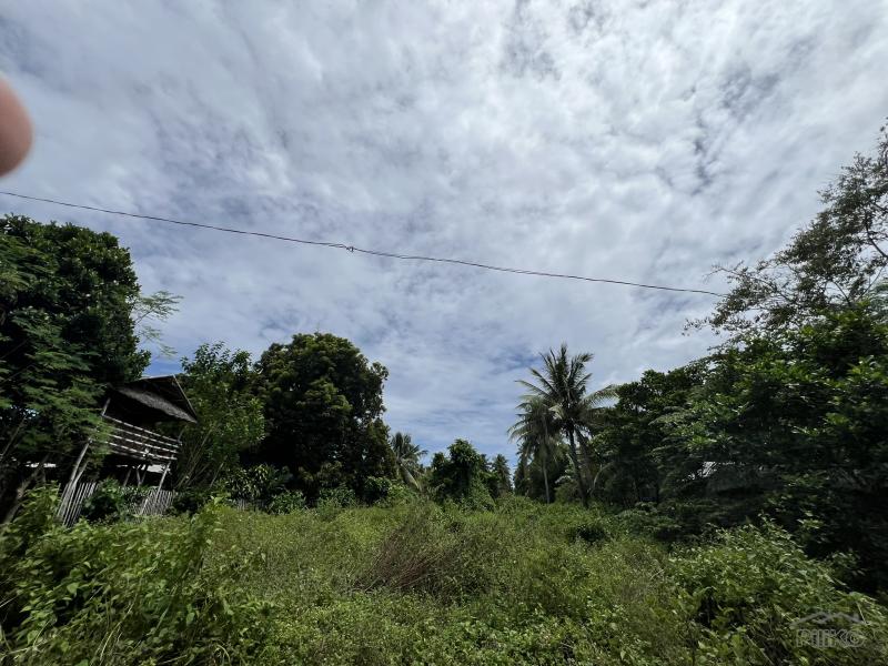 Residential Lot for sale in Dauin - image 11