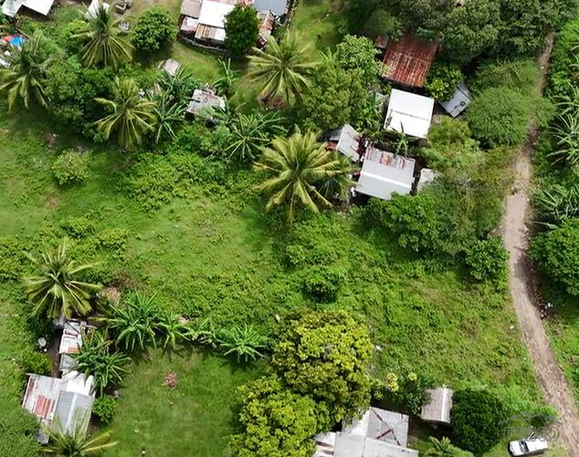 Residential Lot for sale in Dauin