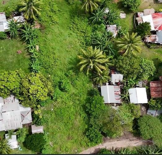 Residential Lot for sale in Dauin in Negros Oriental