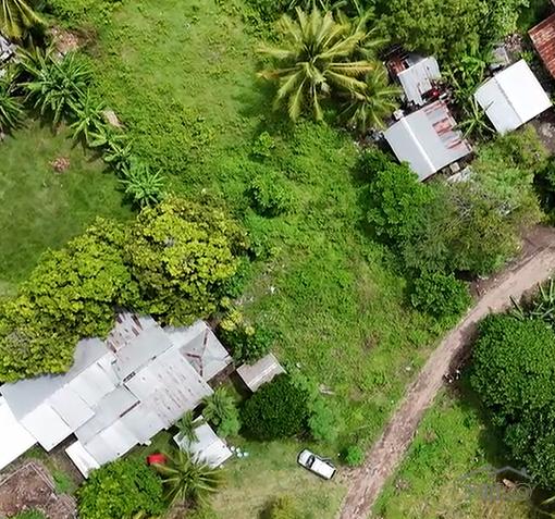 Residential Lot for sale in Dauin in Philippines