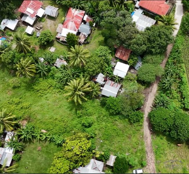 Picture of Residential Lot for sale in Dauin in Negros Oriental