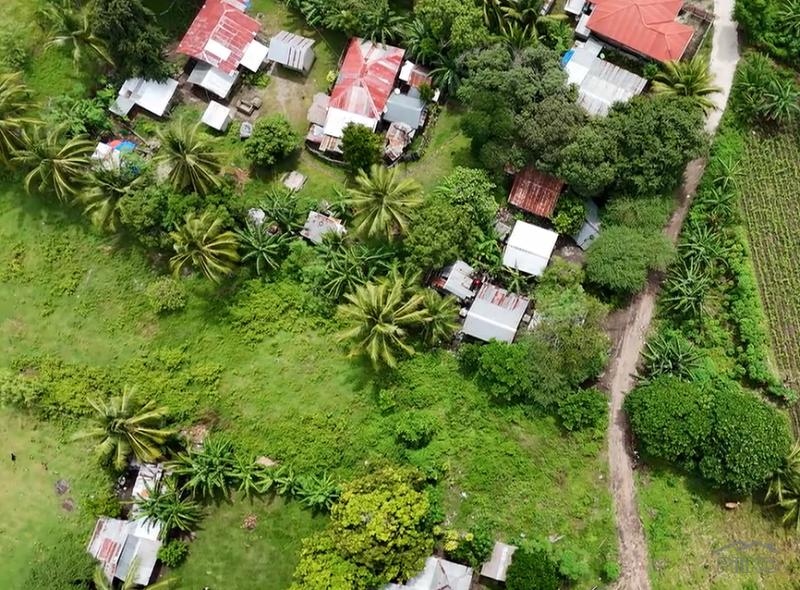 Picture of Residential Lot for sale in Dauin in Philippines