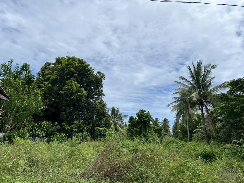 Residential Lot for sale in Dauin in Negros Oriental - image