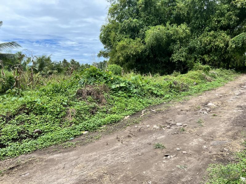 Residential Lot for sale in Dauin in Philippines - image