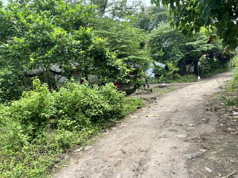 Residential Lot for sale in Dauin - image 9