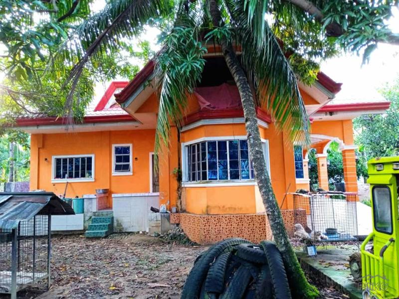 7 bedroom House and Lot for sale in Bayawan