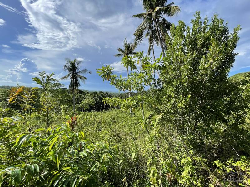 Residential Lot for sale in San Juan - image 23