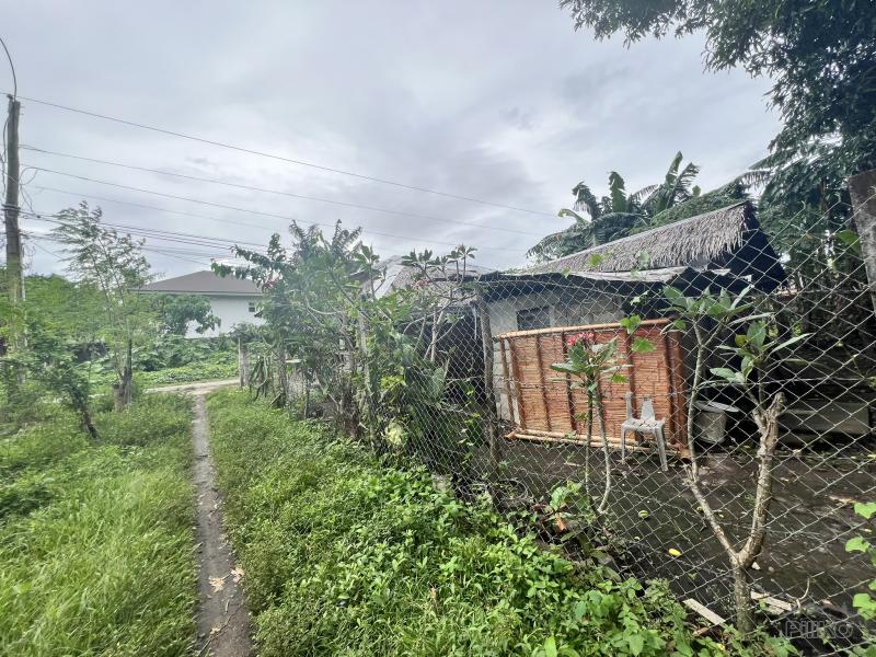 Residential Lot for sale in Dauin - image 10