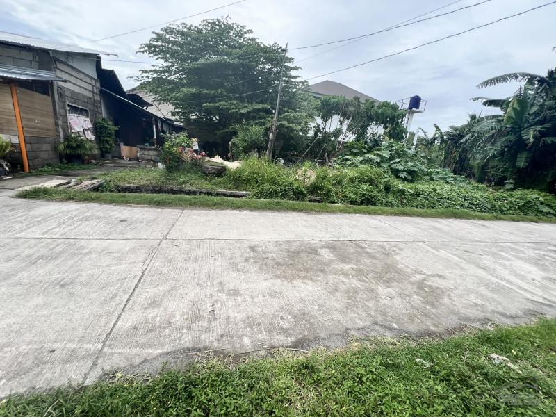 Residential Lot for sale in Dauin - image 12