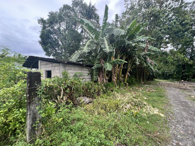 Residential Lot for sale in Dauin - image 13