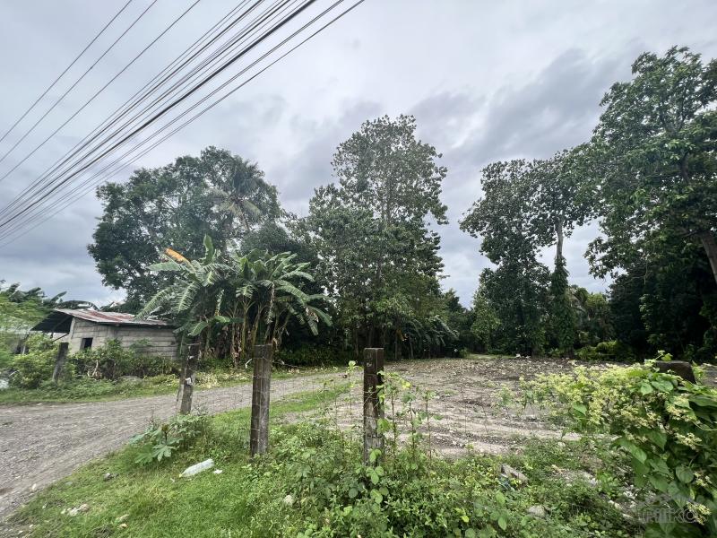 Residential Lot for sale in Dauin - image 15