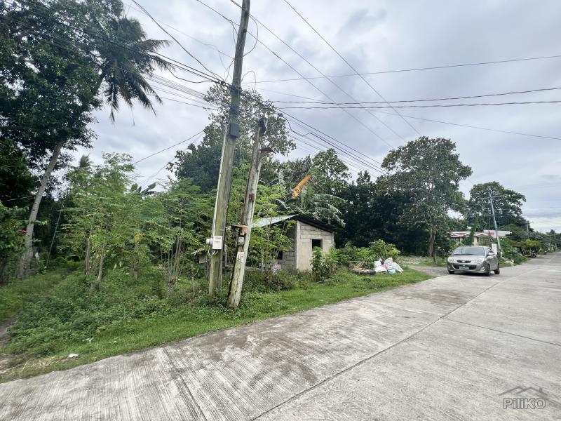 Picture of Residential Lot for sale in Dauin