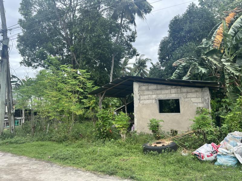 Residential Lot for sale in Dauin