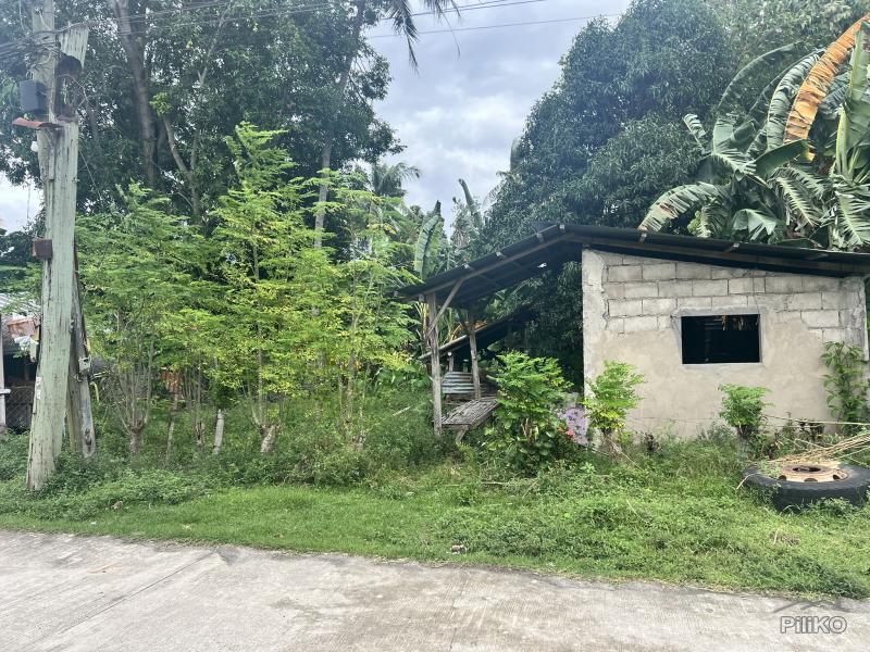Residential Lot for sale in Dauin in Negros Oriental