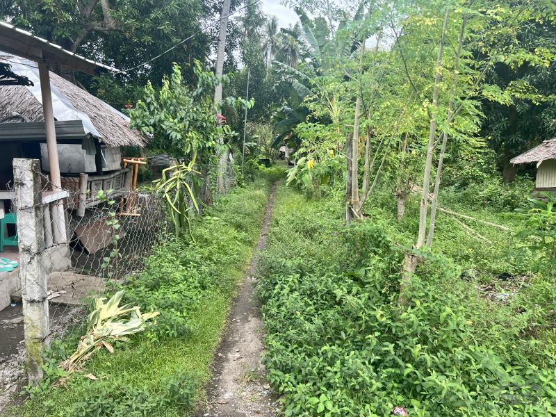 Residential Lot for sale in Dauin in Philippines