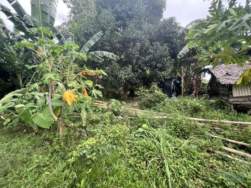 Picture of Residential Lot for sale in Dauin in Negros Oriental