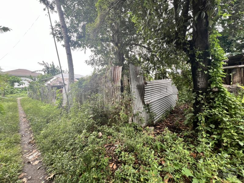 Picture of Residential Lot for sale in Dauin in Philippines