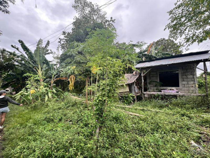 Residential Lot for sale in Dauin in Negros Oriental - image