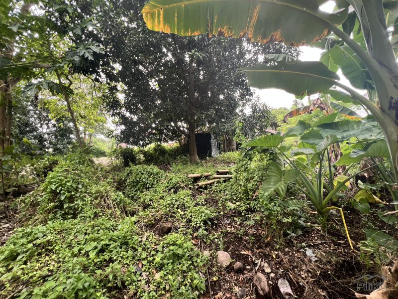 Residential Lot for sale in Dauin in Philippines - image