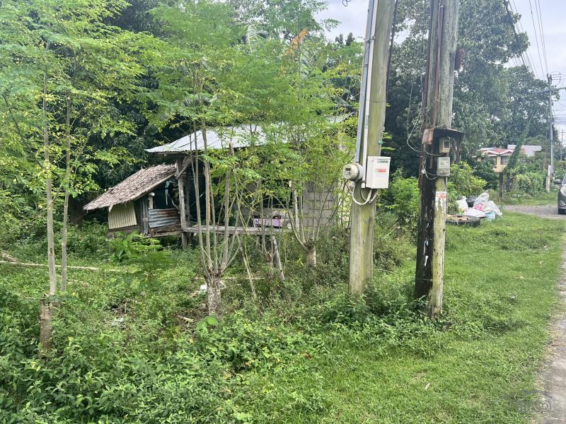 Residential Lot for sale in Dauin - image 9
