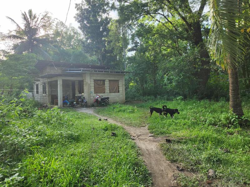 Picture of 1 bedroom House and Lot for sale in Zamboanguita