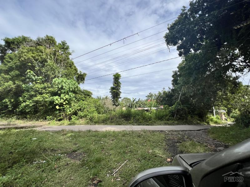 Lot for sale in Dauin - image 13