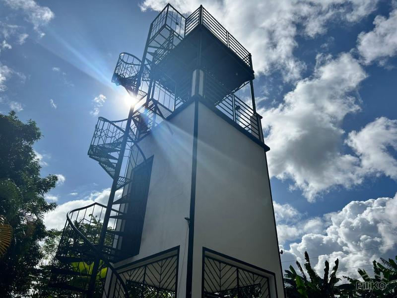 4 bedroom House and Lot for sale in Dumaguete - image 17