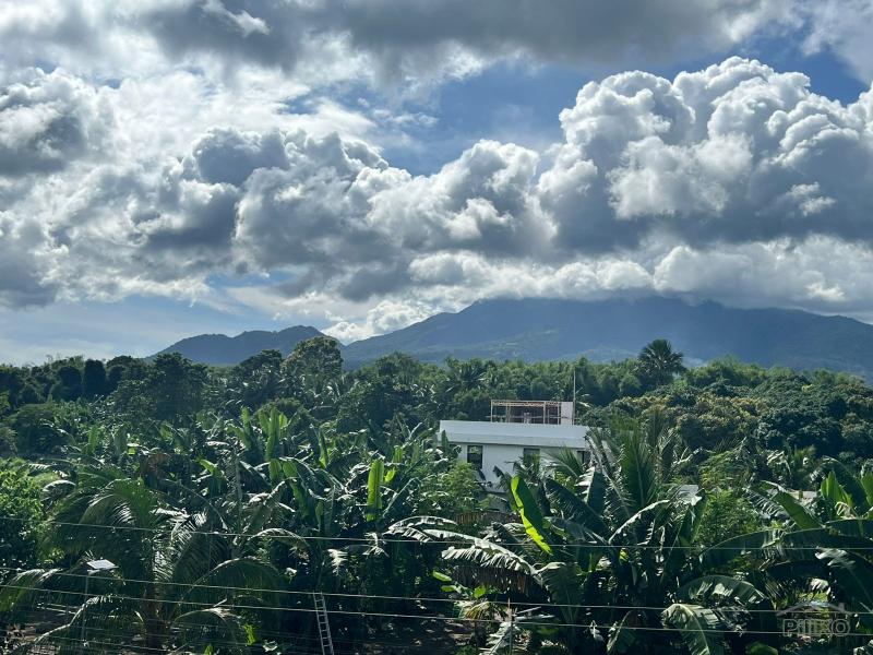 4 bedroom House and Lot for sale in Dumaguete - image 21