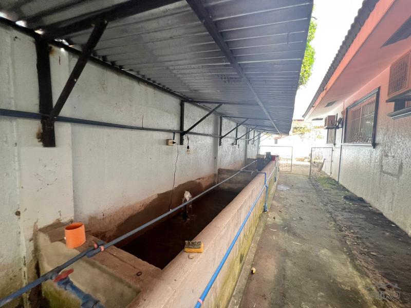 4 bedroom House and Lot for sale in Dumaguete - image 23