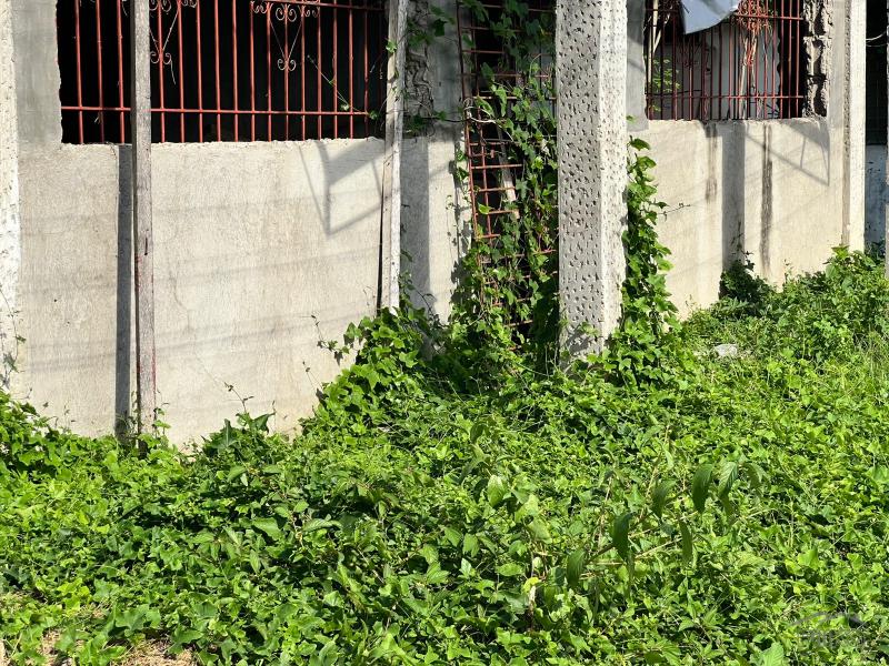 Townhouse for sale in Sibulan - image 3