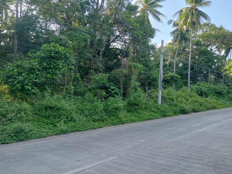 Residential Lot for sale in Dauin - image 2