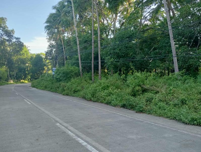 Residential Lot for sale in Dauin - image 3
