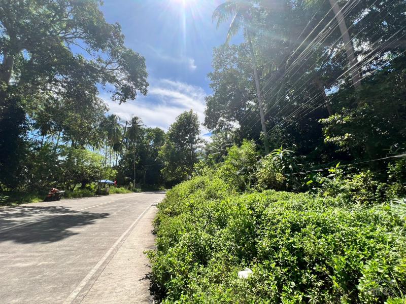 Residential Lot for sale in Dauin - image 4